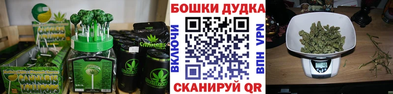 Купить закладки  Заринск  Canna-Cookies конопля 