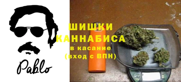 прущие грибы Козельск