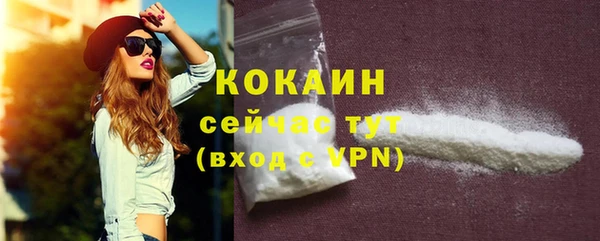 прущие грибы Козельск