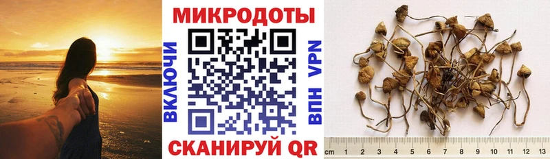 Купить закладки  Заринск  Галлюциногенные грибы Cubensis 